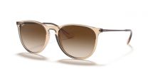 Ray-Ban Women's Erika Classic Sunglasses Transparent Light Brown Frames with Brown Gradient Lenses - RB4171 54mm