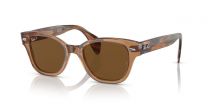 Ray-Ban Unisex 880 Sunglasses Transparent Brown Frames with Polarized Brown Classic Lenses - RB0880S 52 mm