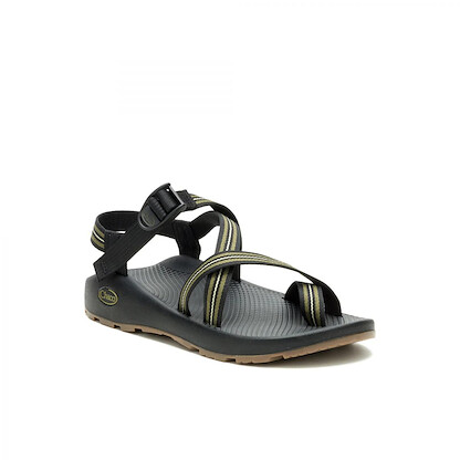 Chaco Men's Z/2 Adjustable Strap Classic Sandal Dash Loden - JCH00000049